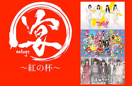 notall、まねきケチャ、FES☆TIVE、3マンライブ開催決定! 画像