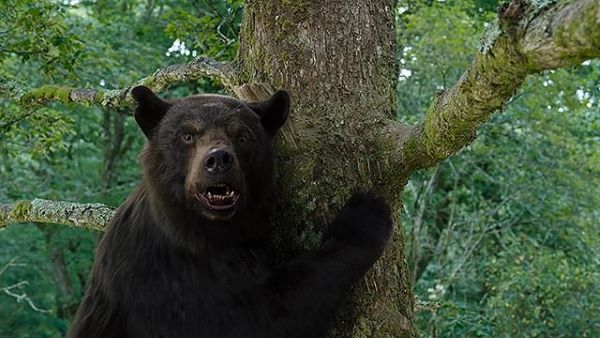 コカインベアのクマ1